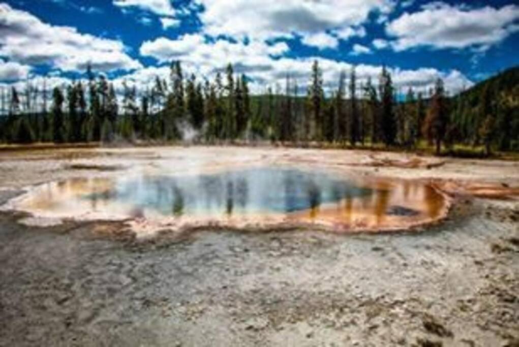 White Owl Retreat Yellowstone Grand Teton Island Park Exteriör bild